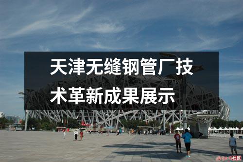 天津無(wú)縫鋼管廠技術(shù)革新成果展示